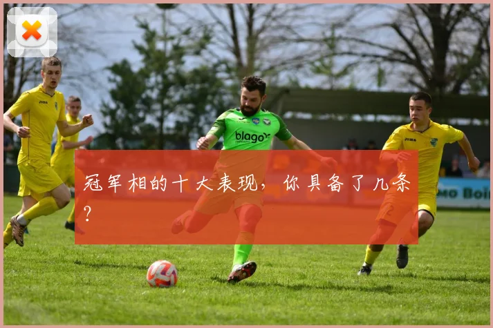 冠军相的十大表现，你具备了几条？