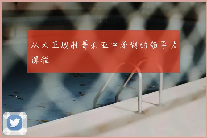 从大卫战胜哥利亚中学到的领导力课程